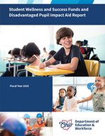 screenshot of the front cover of the SWSF-and-DPIA report